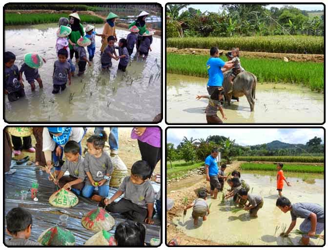 WISATA EDUKASI DI BOGOR,KAMPUNG WISATA SENTUL