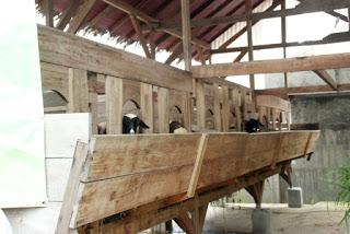 tempat wisata edukasi anak tk di bogor