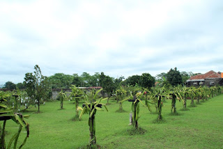 tempat wisata edukasi anak tk di bogor
