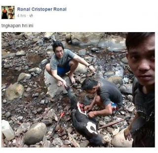 PNS-Gokil tega membunuh hewan dilindungi