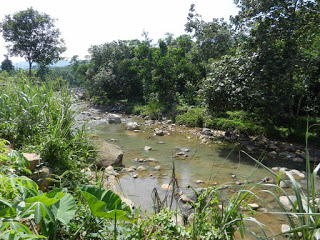 kws camping ground sentul