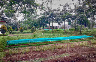 wisata agro bogor
