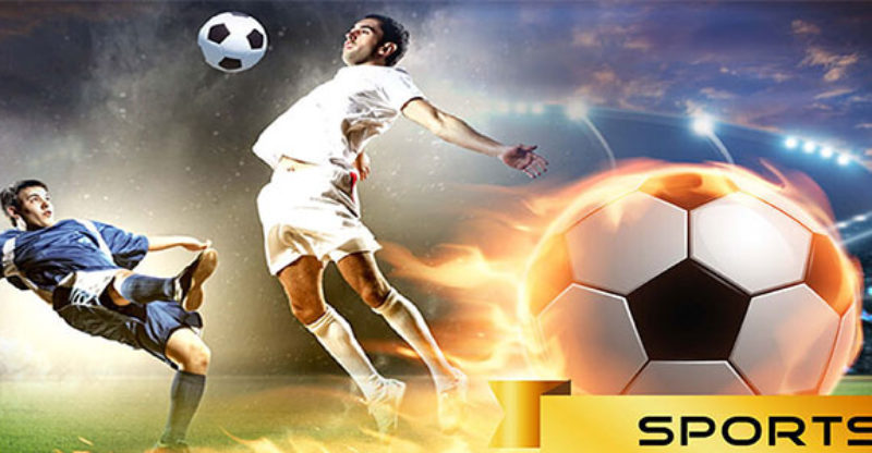 sbobet gambling